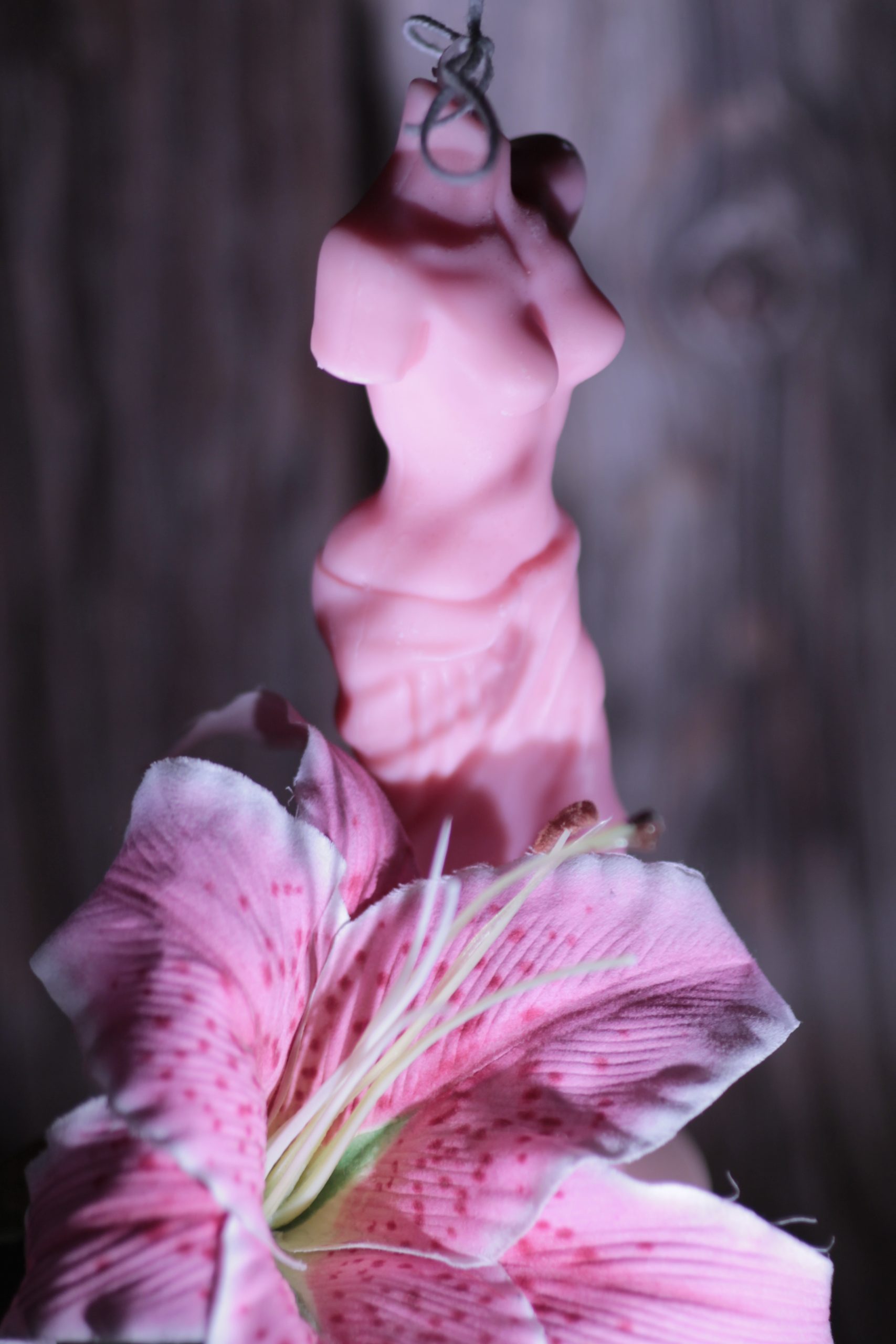 Vénus de Milo – Image 3