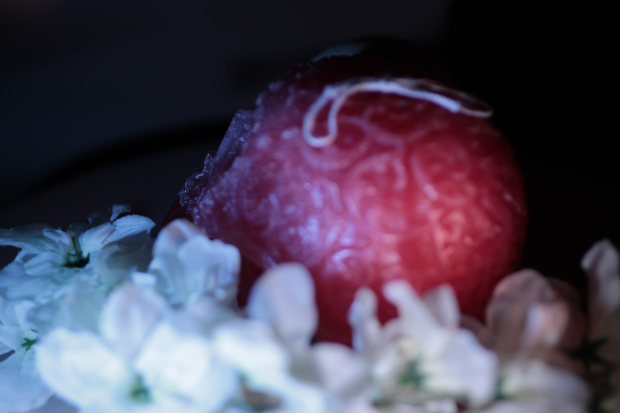Calaveras – Image 3