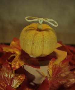 Pumpkin Glow