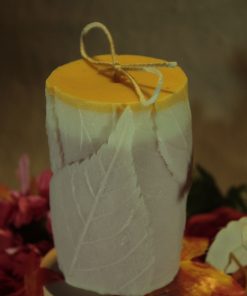 Feuille d’Automne